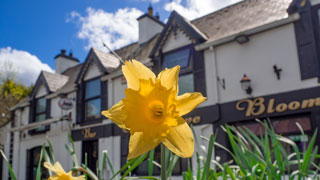 Aonach Bed & Breakfast
