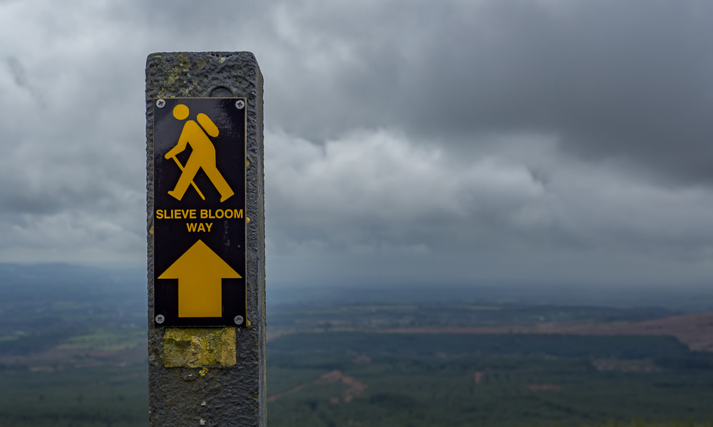 Glenafelly loop walk map
