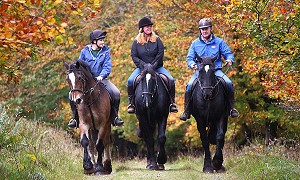 Horse-riding in the Slieve Blooms