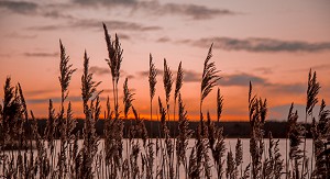 Sunsets in the Slieve Bloom moutains