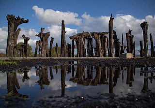 Lough Boora Sculptures