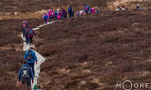 25th May Walking Festival 2019