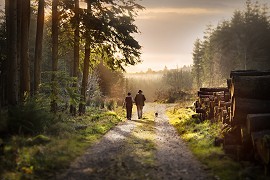 Walking the Slieve Blooms